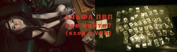 хмурый Нефтекумск